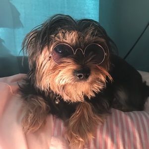 Meet your Posher, Tia